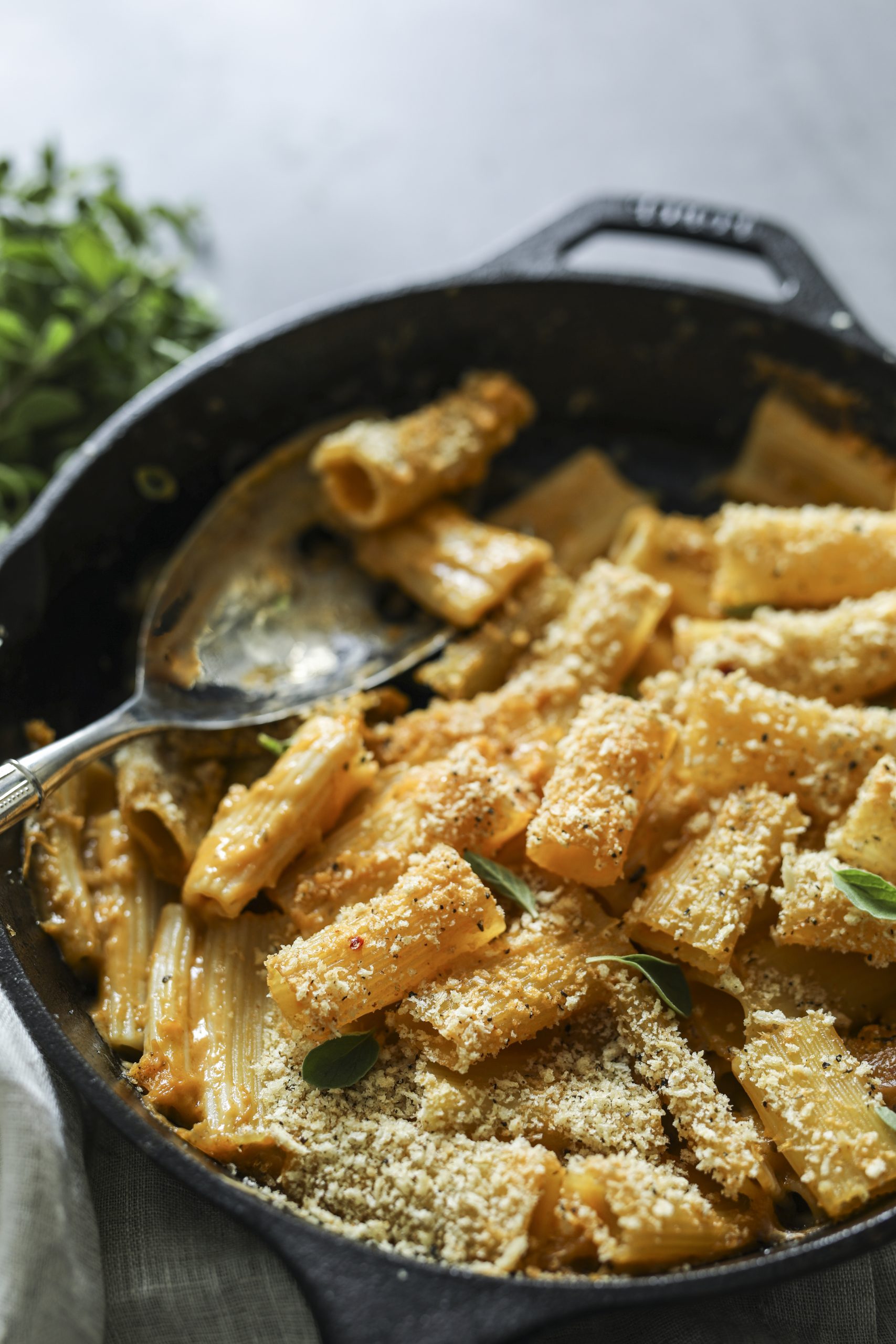 Creamy Pumpkin Pasta alla Vodka
